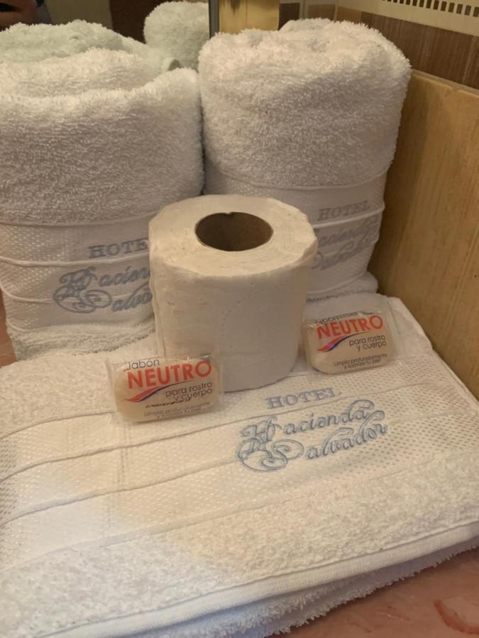Hotel Hacienda Salvador San Juan de los Lagos Zewnętrze zdjęcie
